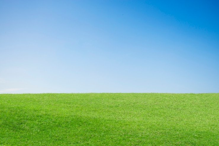 Oportunidade Única: Comprar Terrenos em Dois Irmãos e Construir Seu Futuro